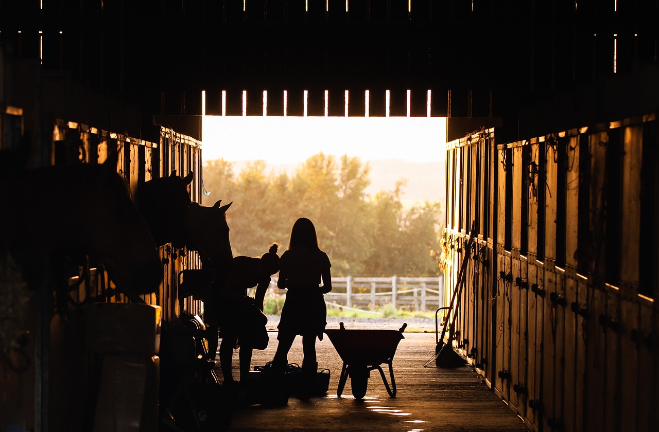 equestrian facility interior design